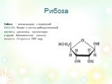 Рибоза. Рибоза — моносахарид с формулой С5Н10О5. Входит в состав рибонуклеиновой кислоты, аденозина, нуклеотидов и других биологических важных веществ. Открыта в 1905 году.