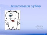 Анатомия зубов. Выполнила : студентка ОС-104 Балан Лоредана Витальевна