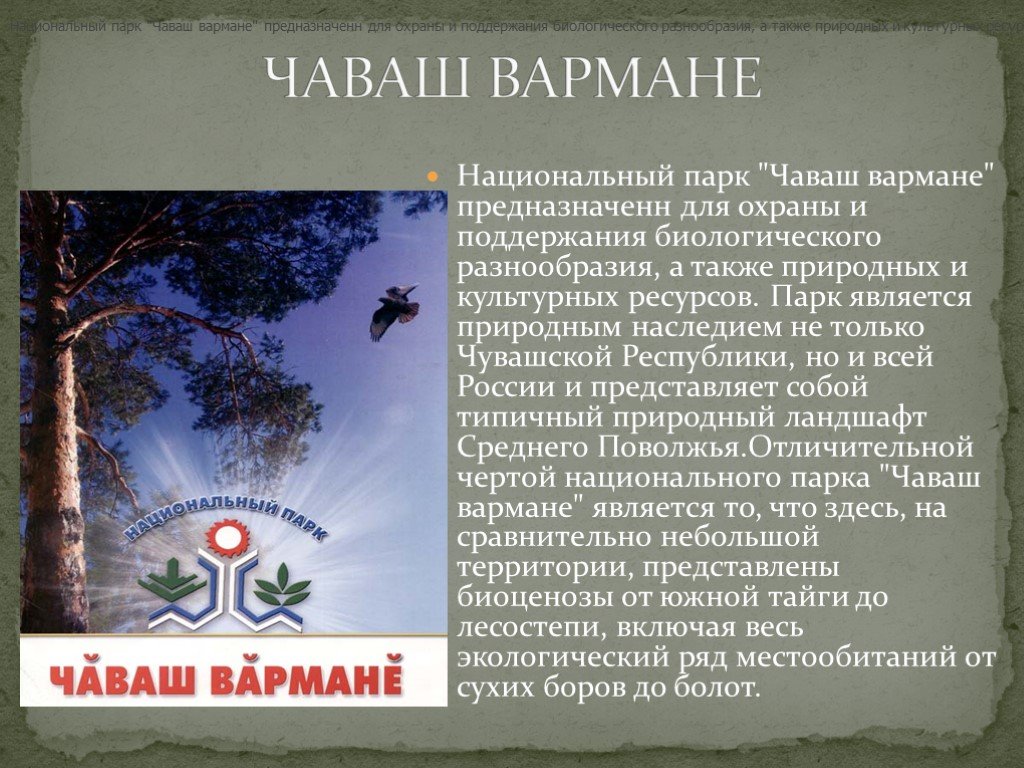 Заповедники чувашии. Заповедник Чувашии Чаваш вармане. Заповедники и национальные парки в Чувашии. Парк Чувашии национальный парк Чаваш вармане сообщение 4 класс. Национальный парк Чаваш вармане доклад.