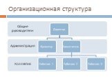 Организационная структура