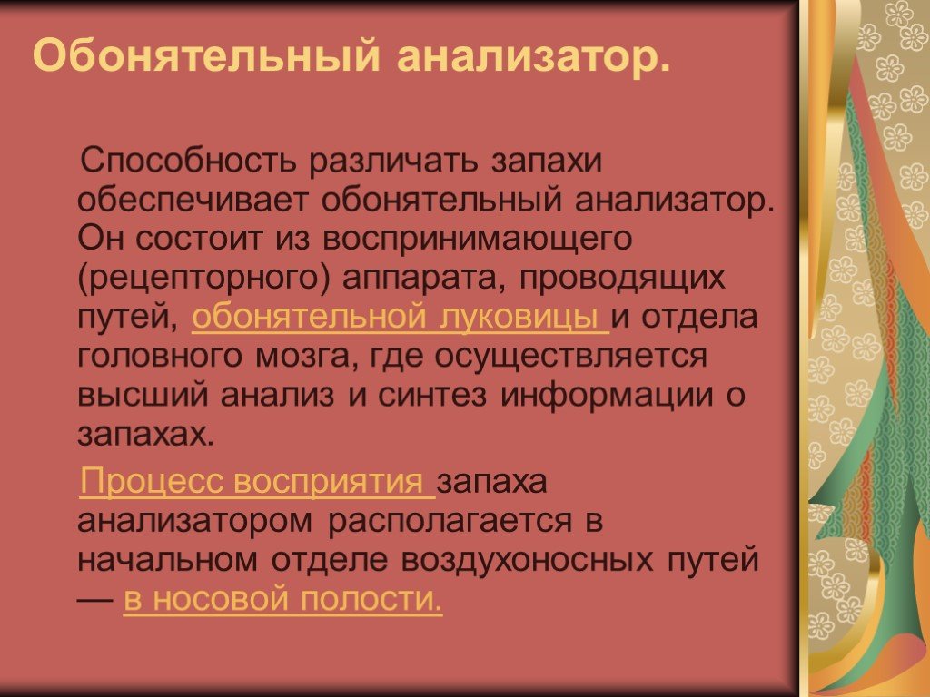 Обонятельные анализаторы презентация