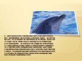 В бассейнах Черного и Азовского морей обитают крупные млекопитающие. Это дельфин-белобочка (длина — до 180 см, масса — 50 кг, плавает со скоростью до 40 км/час, ныряет на глубину 100 м). Охота на него запрещена. Черноморская афалина (длина — до 230 см) легко поддается дрессировке. Несколько особей с