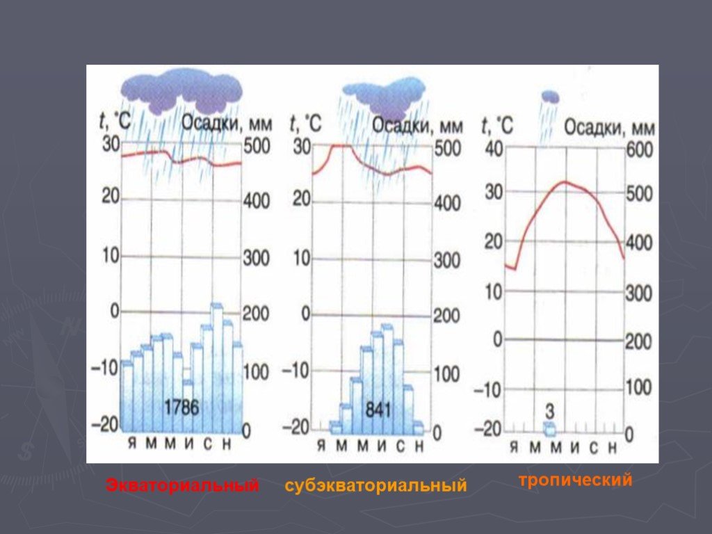 Экваториальный тип климата диаграмма