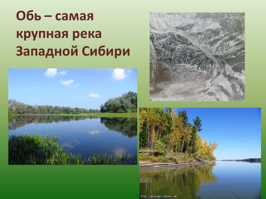 Крупнейшей рекой западной сибири является. Обь крупнейшая река Сибири. Обь презентация. Самая большая река Западной Сибири. Западно Сибирская реки и озера.