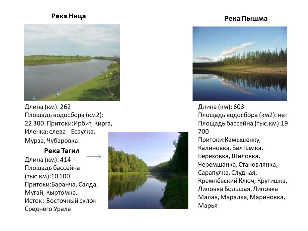 Какие реки есть в свердловской области. Река Ница Ирбит. Сообщение о реке Свердловской области. Притоки реки Пышма. Рассказ о реке Пышме Свердловская область.