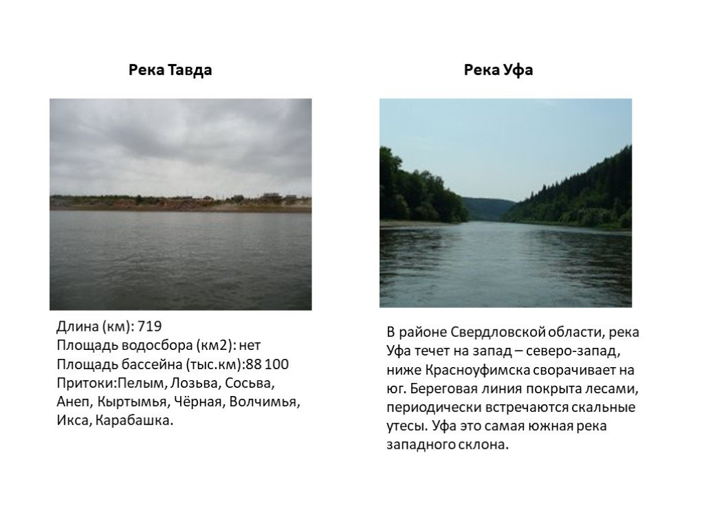 Какие реки есть в свердловской области. Реки озёра Свердловской области список и описание. Протяженность реки Тавда. Растения и животные реки Тавды. Крупные реки Свердловской области.