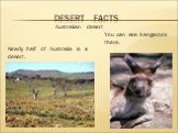 Aus Australian desert. Nearly half of Australia is a desert. You can see kangaroos there.