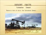 Turkestan Desert. There is lots of oil in the Turkestan Desert