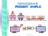 Present Simple Simple Tenses The Infinitive