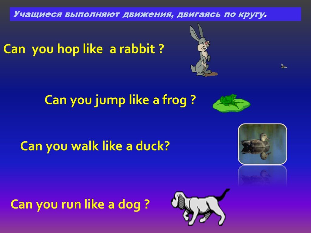 My dog can run and jump. Can you Hop like a Rabbit. Стихотворение can you Hop like a Rabbit. Can you Hop as a Rabbit 2 класс английский. Can you Jump like a Frog.