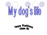 My dog`s life Tanya Rozkhova class 8b