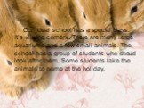 Our ideal school has a special class. It’s «living corner». There are many large aquariums and a few small animals. The school has a group of students who should look after them. Some students take the animals to home at the holiday.