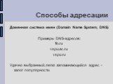 Доменная система имен (Domain Name System, DNS) Примеры DNS-адресов: fio.ru vspu.ac.ru vspu.ru Удачно выбранный, легко запоминающийся адрес - залог популярности.