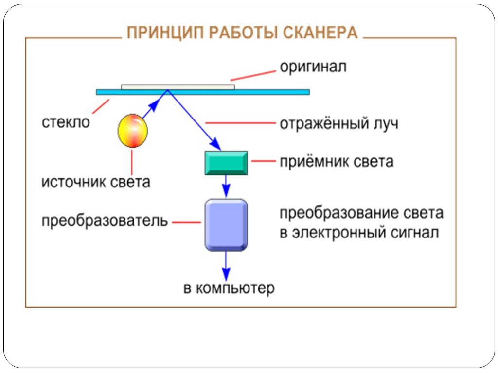 Принцип работы краткое. Принцип работы планшетного сканера схема. Виды сканеров, устройство и принцип работы. Устройство сканера принцип работы. Принцип действия планшетного сканера.