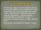 Бухенвальд. Через его стены прошли четверть миллиона узников из всех европейских стран! Вдумайтесь: 250 тысяч заключённых! Целый город, с женщинами, стариками и детьми, с колючей проволокой и хрипом овчарок, с надзирателями и стукачами. И ещё – с постоянно ноющей мыслью в голове: «Выхода нет!» Концл