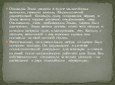 Однажды Эльза увидела в толпе заключённых высокого, статного юношу. Широкоплечий двухметровый богатырь сразу понравился ведьме, и Эльза велела охране усиленно откармливать чеха. Отказавшись стать любовником Эльзы, парень был расстрелян. Эльза велела достать из его тела сердце, в котором застряла пул