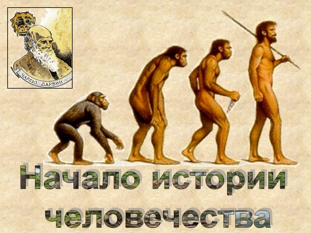 История человечества рисунок