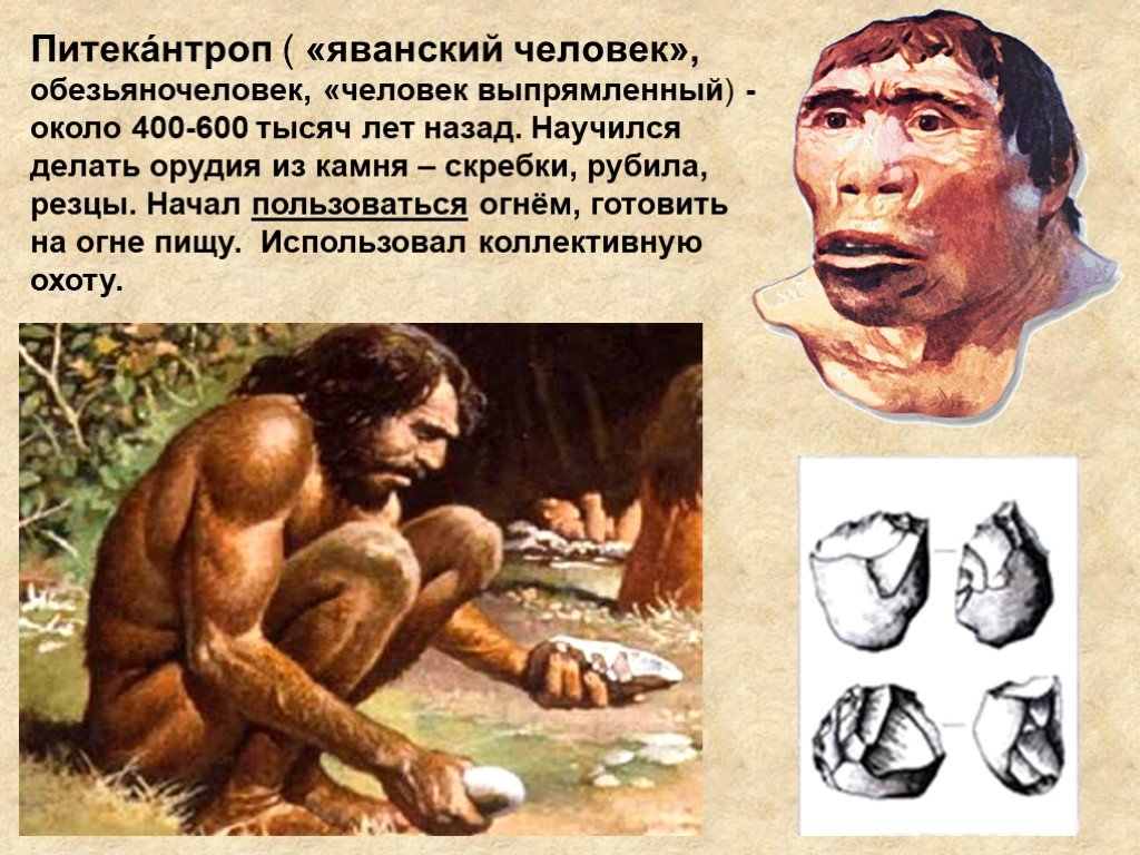 Почему одного из предков назвали человеком умелым. Питекантроп синантроп период. Начало истории человечества. История первобытных людей. Древний человек.
