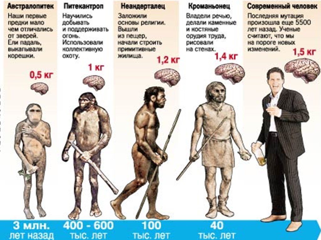 Объем мозга питекантропа. Ступени развития человека хомо сапиенс. Таблица эволюции неандерталец кроманьонец. Эволюция человека неандерталец кроманьонец. Типы древних людей.