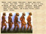 Древних людей , которые использовали орудия труда ученые называют Homo habilis- “человек умелый» - 2,5 млн. лет назад. Их внешний вид сильно изменился – увеличился объем черепа, уменьшилась передняя челюсть стал исчезать волосяной покров на теле. Говорить ещё не умели. Сигналы давали криками, жестам