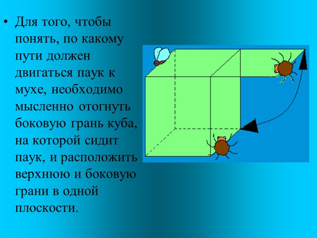 Две грани куба. Боковые грани Куба. Верхняя грань Куба. Боковая грань на Кубе. Куб боковые грани Кубы.