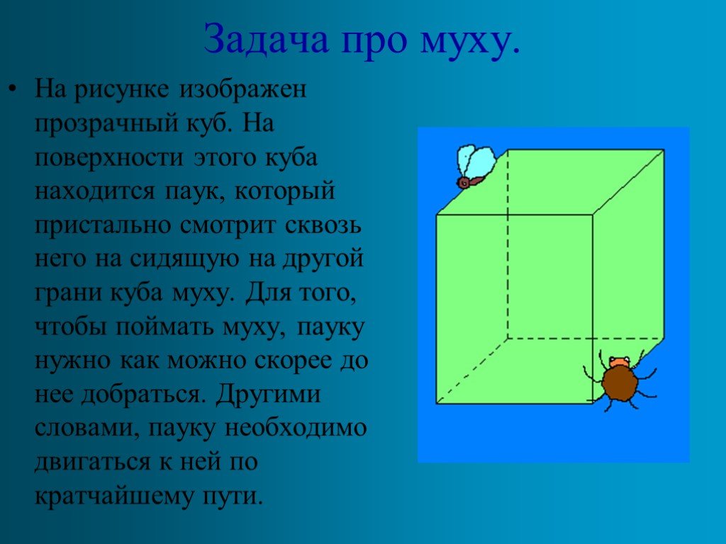 На рисунке изображен куб