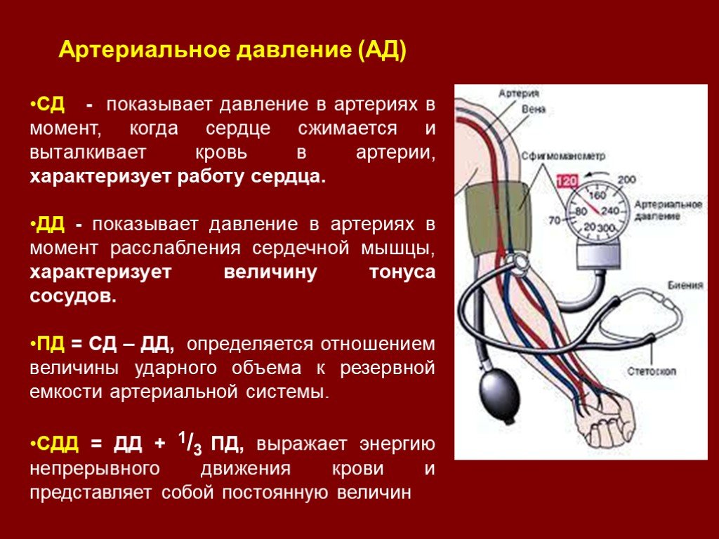 Транскрипция ад. Измерение артериального кровяного давления. Измерение артериального давления на периферических артериях. Артериальное давление в артерии. Артириально ЕДАВЛЕНИЕ.