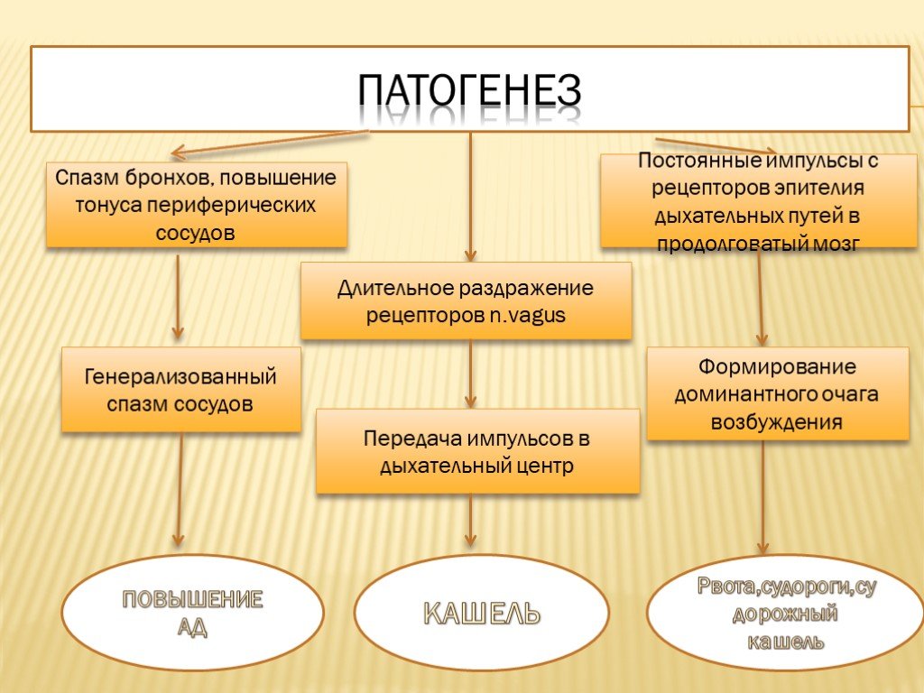 Коклюш паракоклюш презентация