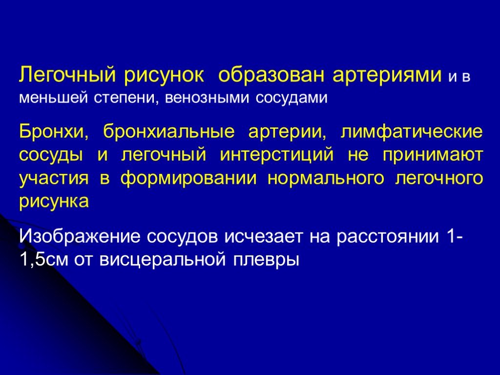 Легочный интерстиций. Бронхиальные сосуды участвуют. Анатомия человека при лучевых исследованиях. Интерстиций.