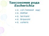 Таксономия рода Escherichia. E. coli (типовой вид) E. blattae E. hermanii Е. fergusonii E. vulneris