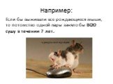 Например: Если бы выживали все рождающиеся мыши, то потомство одной пары заняло бы ВСЮ сушу в течении 7 лет. в результате мутации.
