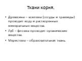 Ткани корня. Древесина – ксилема (сосуды и трахеиды) проводит воду и растворенные минеральные вещества. Луб – флоэма проводит органические вещества. Меристема – образовательная ткань.