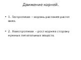 Движение корней. 1. Геотропизм – корень растения растет вниз. 2. Хемотропизм - рост корня в сторону нужных питательных веществ.