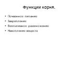 Функции корня. Почвенное питание Закрепление Вегетативное размножение Накопление веществ