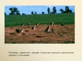 Пастбище, пораженное эрозией. Следствие массового размножения кроликов в Австралии.