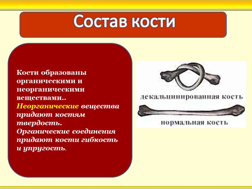 Минеральное вещество костей. Что придают вещества костям. Неорганические соединения придают кости. Неорганические вещества придают кости твердость. Кости образованы.