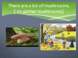 There are a lot of mushrooms. ( to gather mushrooms)