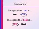 Tall or high Слайд: 3