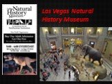 Las Vegas Natural History Museum