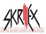 Skrillex was nominated for five awards "Grammy" in 2011, including «Best New Artist» He was awarded in three categories: Scary Monsters and Nice Sprites - best dance / electronic album; «Scary Monsters and Nice Sprites» - Best Dance Recording; «Benny Benassi - Cinema (Skrillex Remix)» - Be