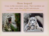Show leopard Lives in the mountain areas. Their numbers are now more than 10 000 individuals