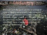 Industry. The main anthropogenic factors of ecological crisis in Ukraine are primarily large industrial complexes - voracious consumers of raw materials, energy , water, air , land and space at the same time the most powerful source of virtually all types of pollution ( mechanical, chemical, biochem