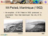 An eruption of Mt Peleé in 1902 produced a pyroclastic flow that destroyed the city of St. Pierre. before after Mt Peleé, Martinique (1902)