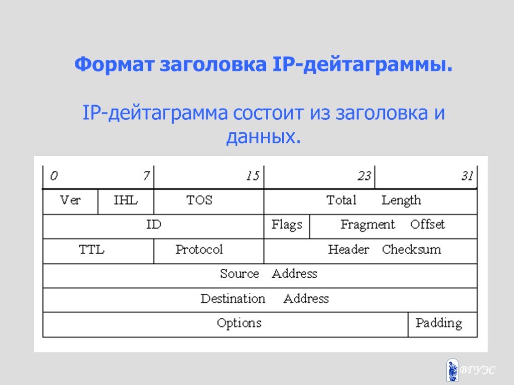 Формат заголовка. IP дейтаграмма. IP-дейтаграмма состоит из заголовка и. Структура IP дейтаграммы. Заголовок дейтаграммы.