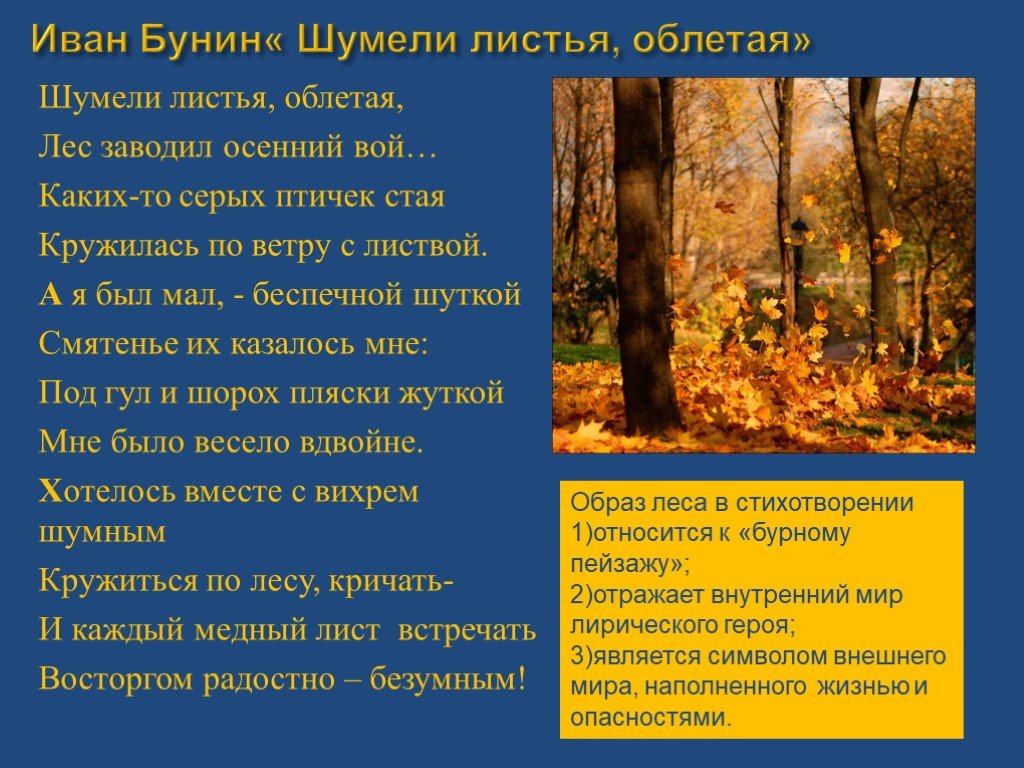 А лес все гудел и гудел. Шумели листья облетая Бунин. Русский лес в поэзии. Шумели листья облетая лес заводил. Бунин осенний лес.
