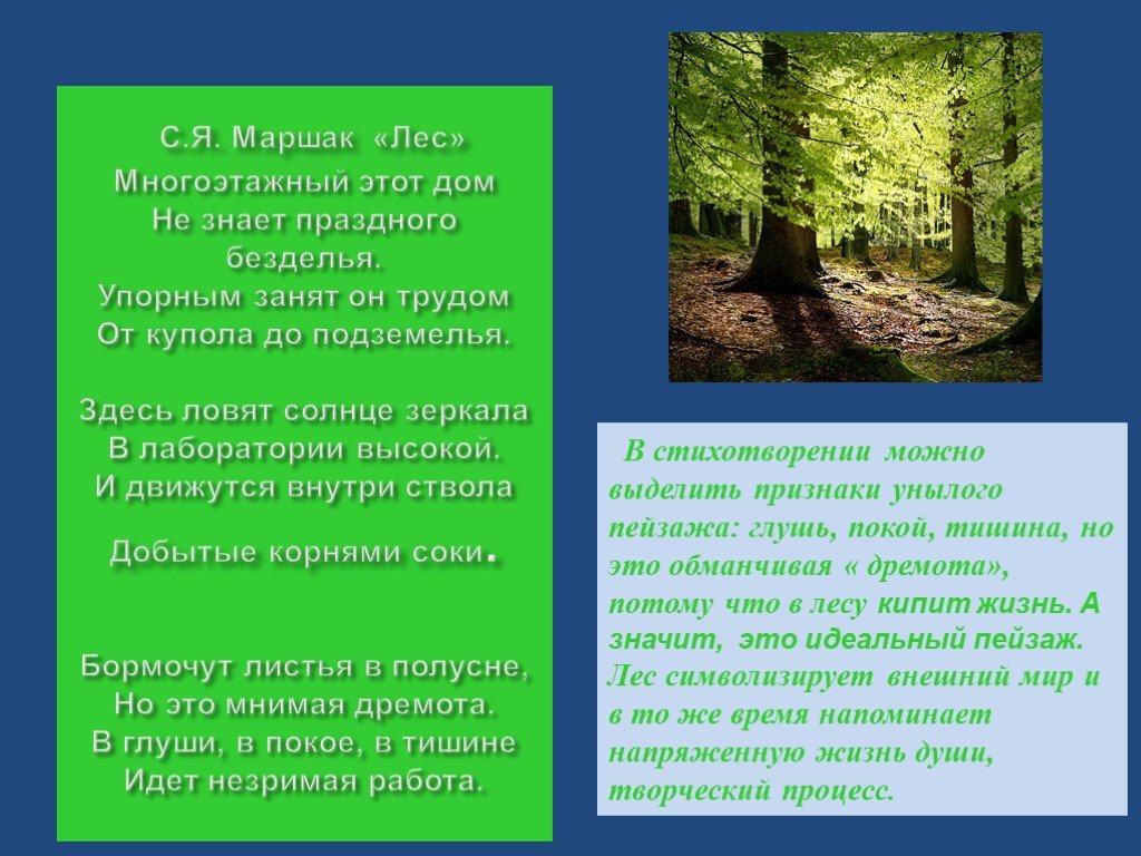 Сравнение в стихотворении в лесу над росистой