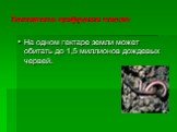 На одном гектаре земли может обитать до 1,5 миллионов дождевых червей.