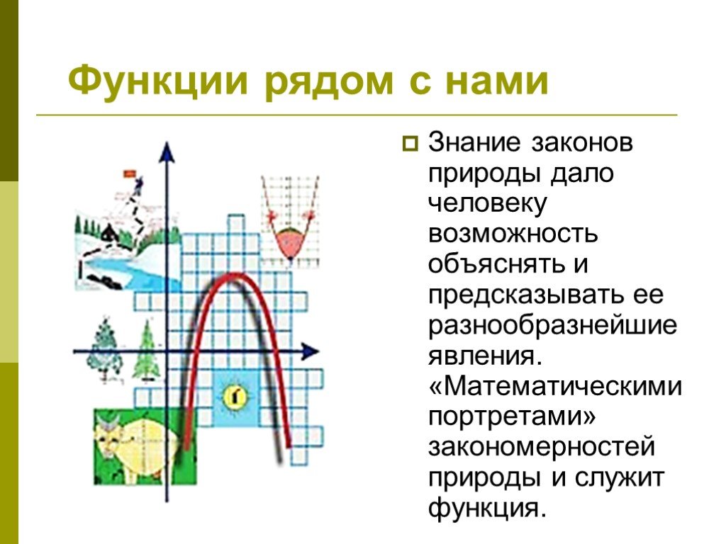 Проект на тему функции в жизни человека