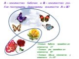 А – множество бабочек, а В – множество роз. Как построить диаграммы множеств А и В? Сколько бабочек принадлежит множеству А? Сколько роз принадлежит множеству В? Сколько общих элементов у множеств А и В?
