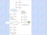 Фосфатаза фосфатидной кислоты. Ацил-трансфераза